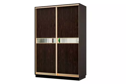 Шкаф-купе 2-дверный Практик МИНИ