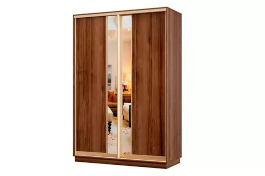 Шкаф-купе 2-дверный Практик МИНИ