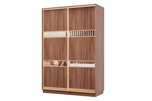 Шкаф-купе 2-дверный Практик МИНИ