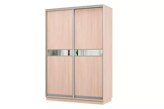 Шкаф-купе 2-дверный Практик МИНИ