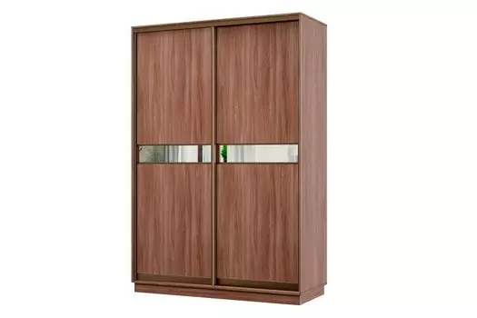 Шкаф-купе 2-дверный Практик МИНИ