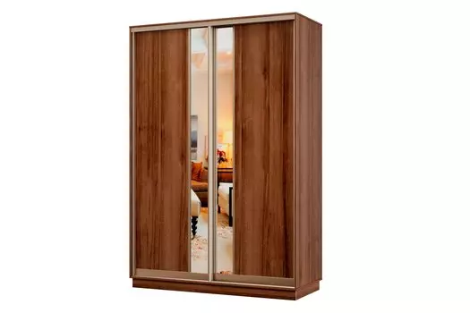 Шкаф-купе 2-дверный Практик МИНИ