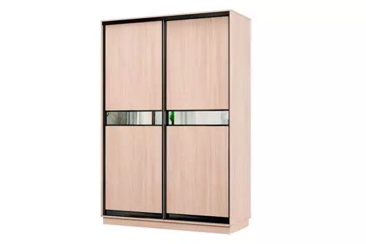 Шкаф-купе 2-дверный Практик МИНИ