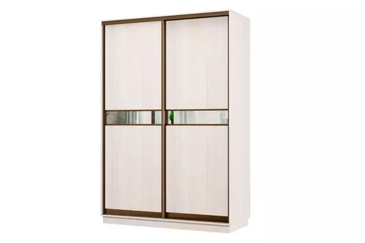 Шкаф-купе 2-дверный Практик МИНИ