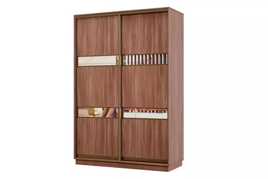 Шкаф-купе 2-дверный Практик МИНИ