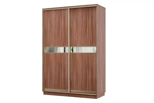 Шкаф-купе 2-дверный Практик МИНИ