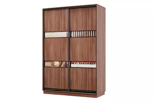 Шкаф-купе 2-дверный Практик МИНИ