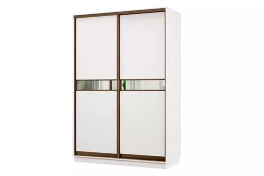 Шкаф-купе 2-дверный Практик МИНИ