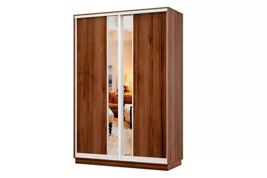 Шкаф-купе 2-дверный Практик МИНИ