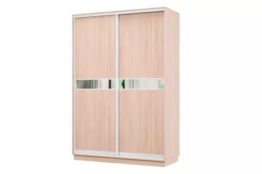 Шкаф-купе 2-дверный Практик МИНИ