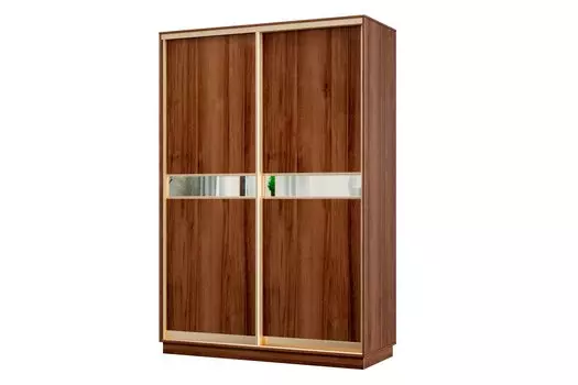 Шкаф-купе 2-дверный Практик МИНИ