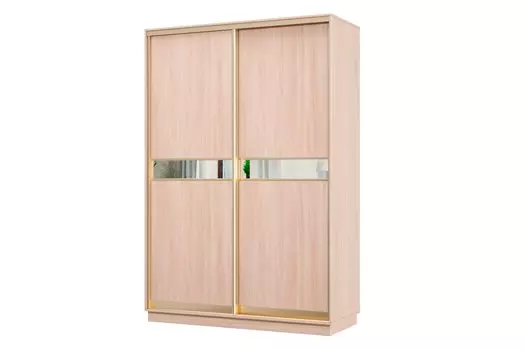 Шкаф-купе 2-дверный Практик МИНИ