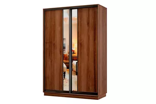 Шкаф-купе 2-дверный Практик МИНИ