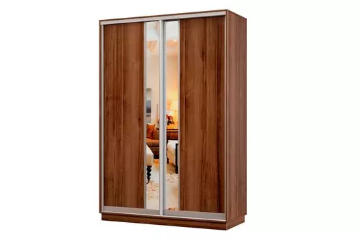 Шкаф-купе 2-дверный Практик МИНИ