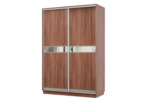 Шкаф-купе 2-дверный Практик МИНИ