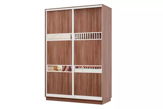 Шкаф-купе 2-дверный Практик МИНИ