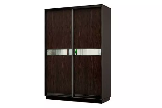 Шкаф-купе 2-дверный Практик МИНИ