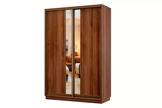 Шкаф-купе 2-дверный Практик МИНИ