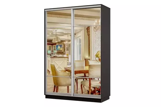 Шкаф-купе 2-дверный Практик МИНИ