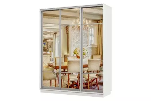 Шкаф-купе 3-дверный Практик 22