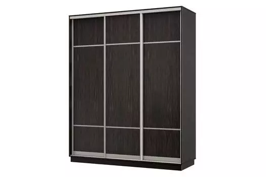 Шкаф-купе 3-дверный Практик 22