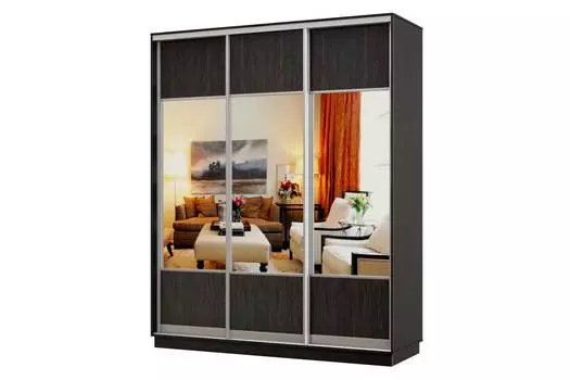 Шкаф-купе 3-дверный Практик 22