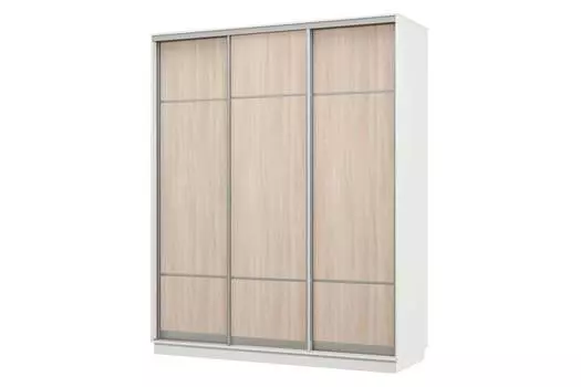 Шкаф-купе 3-дверный Практик 22