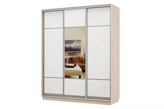 Шкаф-купе 3-дверный Практик 22