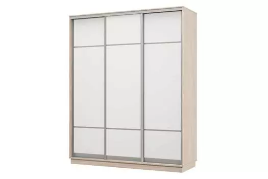Шкаф-купе 3-дверный Практик 22