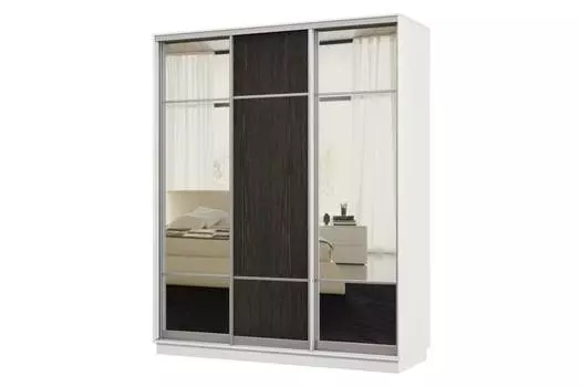 Шкаф-купе 3-дверный Практик 22