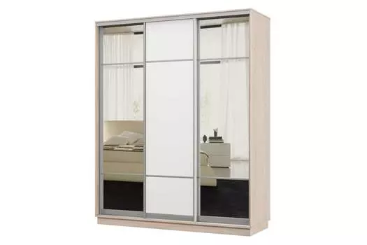 Шкаф-купе 3-дверный Практик 22