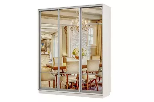 Шкаф-купе 3-дверный Практик 22