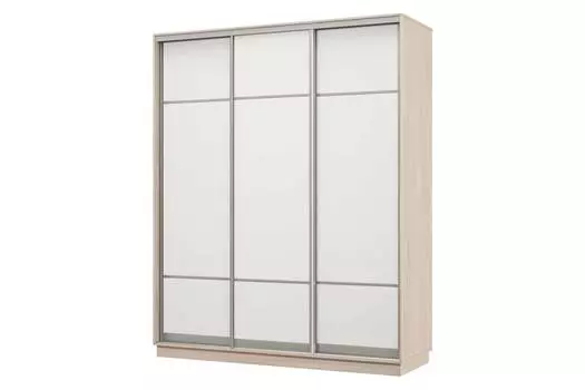 Шкаф-купе 3-дверный Практик 24