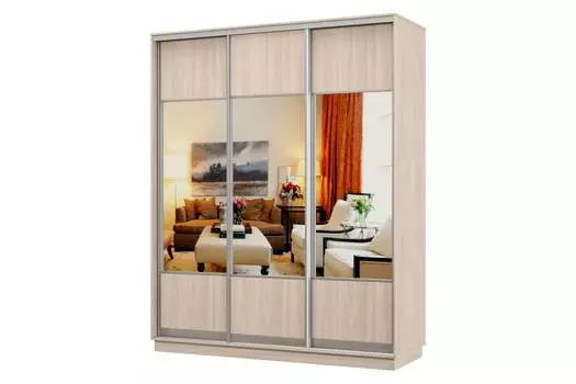 Шкаф-купе 3-дверный Практик 24