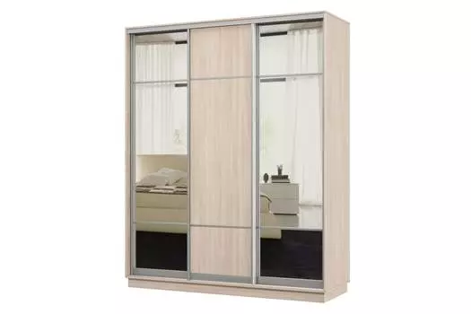 Шкаф-купе 3-дверный Практик 24