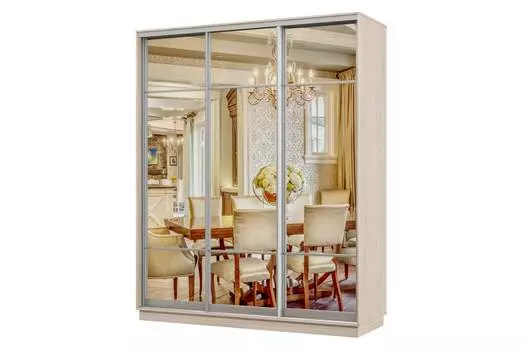 Шкаф-купе 3-дверный Практик 24