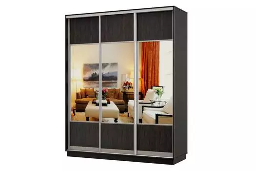 Шкаф-купе 3-дверный Практик 24