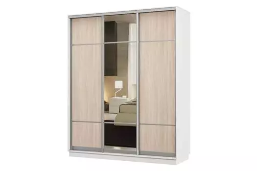 Шкаф-купе 3-дверный Практик 24
