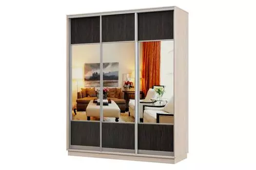 Шкаф-купе 3-дверный Практик 24