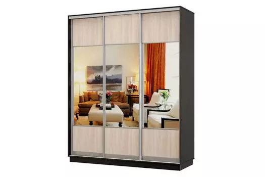 Шкаф-купе 3-дверный Практик 24