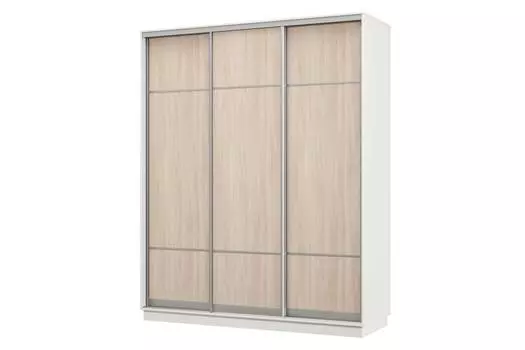 Шкаф-купе 3-дверный Практик 24