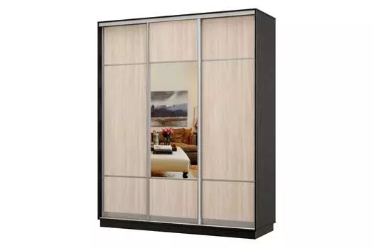 Шкаф-купе 3-дверный Практик 24