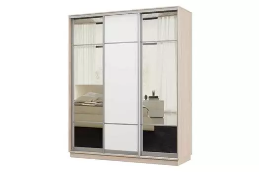 Шкаф-купе 3-дверный Практик 24