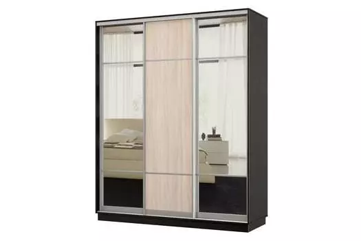 Шкаф-купе 3-дверный Практик 24