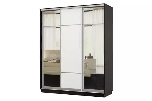 Шкаф-купе 3-дверный Практик 24