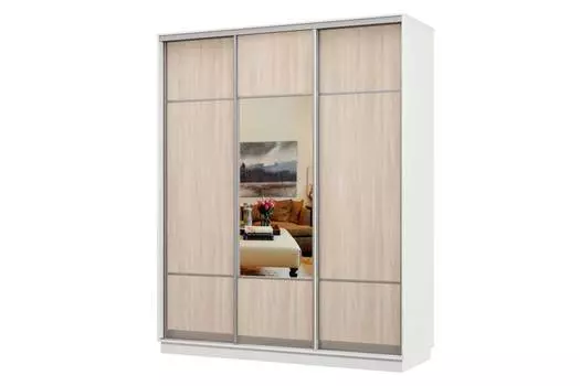 Шкаф-купе 3-дверный Практик 24