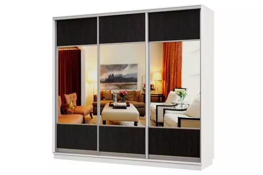 Шкаф-купе 3-дверный Практик 36