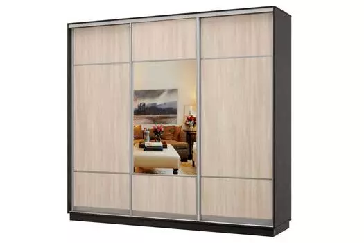 Шкаф-купе 3-дверный Практик 36