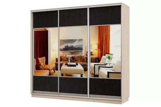 Шкаф-купе 3-дверный Практик 58