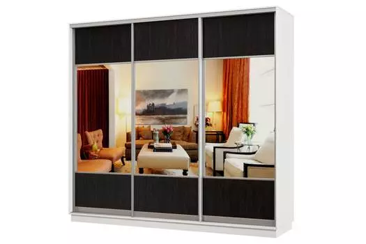 Шкаф-купе 3-дверный Практик 58